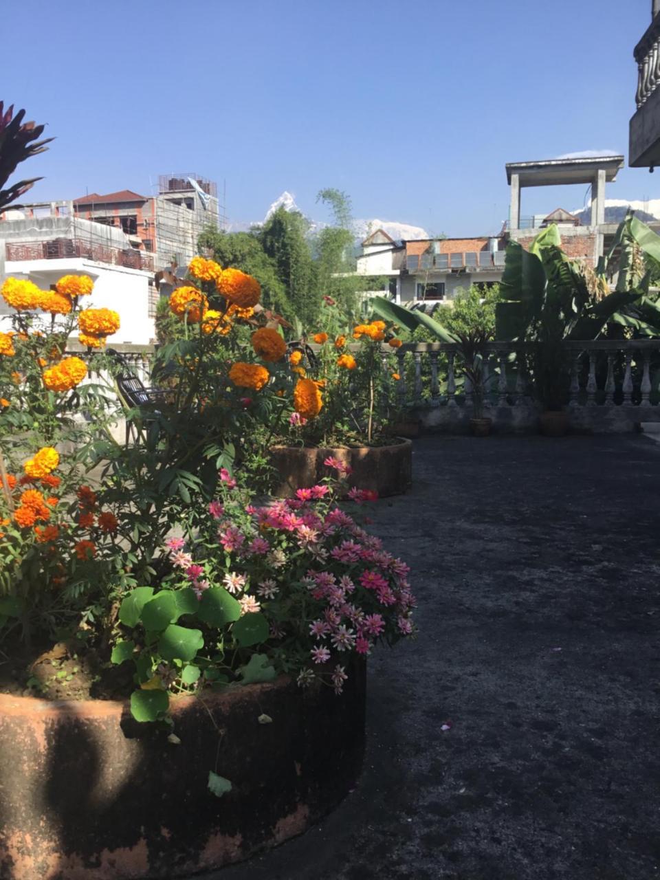 Sacred Valley Inn Покхара Экстерьер фото